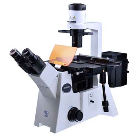 倒置荧光显微镜 DSY5000X