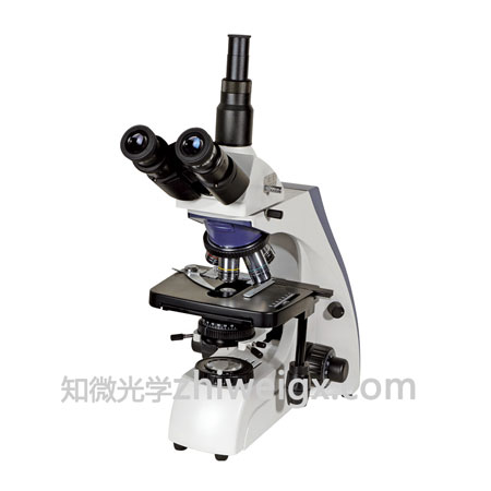 三目生物显微镜 XSZ-159T