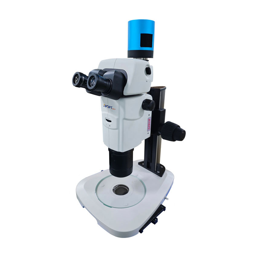 体视荧光显微镜 SZ818